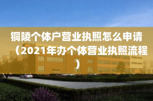 铜陵个体户营业执照怎么申请（2021年办个体营业执照流程）