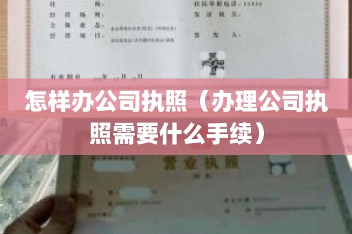 怎样办公司执照（办理公司执照需要什么手续）