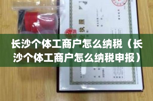 长沙个体工商户怎么纳税（长沙个体工商户怎么纳税申报）