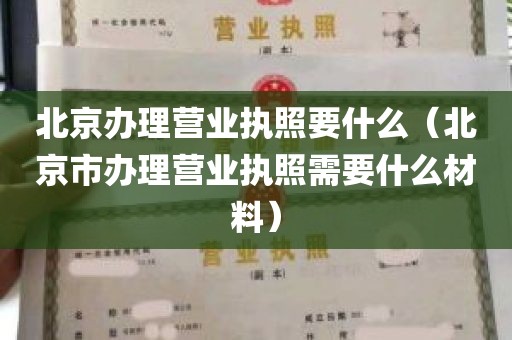 北京办理营业执照要什么（北京市办理营业执照需要什么材料）