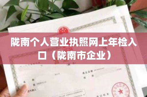 陇南个人营业执照网上年检入口（陇南市企业）