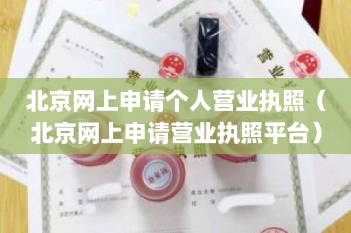 北京网上申请个人营业执照（北京网上申请营业执照平台）