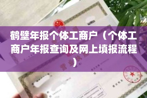 鹤壁年报个体工商户（个体工商户年报查询及网上填报流程）