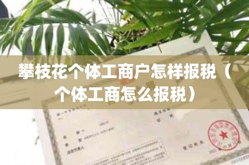 攀枝花个体工商户怎样报税（个体工商怎么报税）