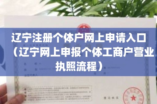 辽宁注册个体户网上申请入口（辽宁网上申报个体工商户营业执照流程）