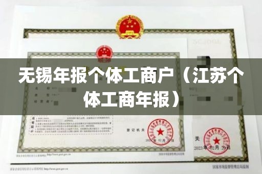 无锡年报个体工商户（江苏个体工商年报）