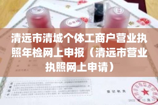 清远市清城个体工商户营业执照年检网上申报（清远市营业执照网上申请）