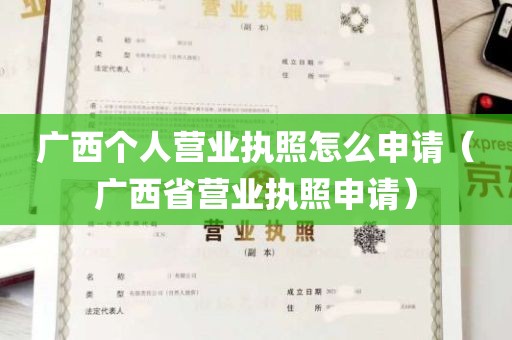 广西个人营业执照怎么申请（广西省营业执照申请）