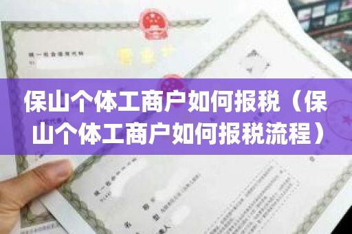 保山个体工商户如何报税（保山个体工商户如何报税流程）