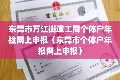 东莞市万江街道工商个体户年检网上申报（东莞市个体户年报网上申报）