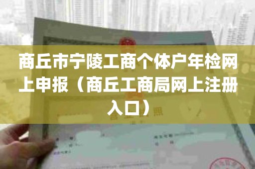 商丘市宁陵工商个体户年检网上申报（商丘工商局网上注册入口）