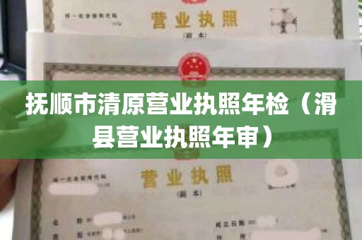 抚顺市清原营业执照年检（滑县营业执照年审）