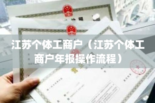 江苏个体工商户（江苏个体工商户年报操作流程）