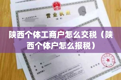 陕西个体工商户怎么交税（陕西个体户怎么报税）