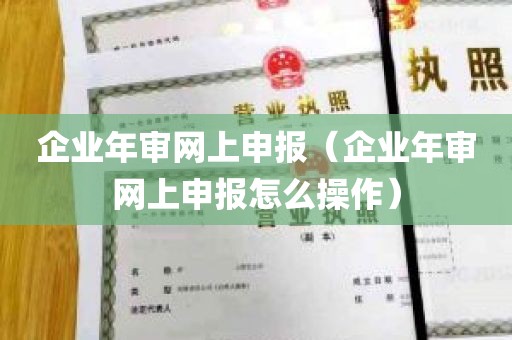 企业年审网上申报（企业年审网上申报怎么操作）