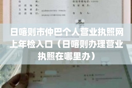 日喀则市仲巴个人营业执照网上年检入口（日喀则办理营业执照在哪里办）