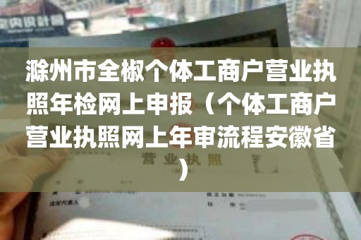 滁州市全椒个体工商户营业执照年检网上申报（个体工商户营业执照网上年审流程安徽省）