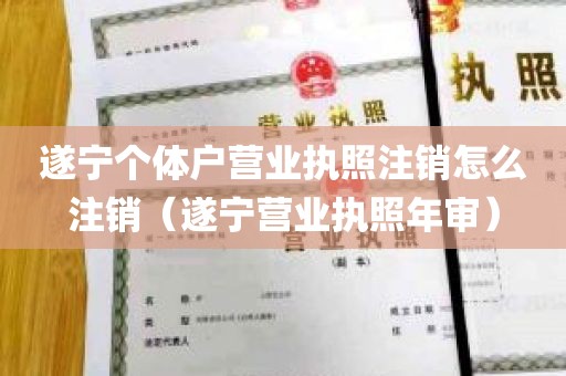 遂宁个体户营业执照注销怎么注销（遂宁营业执照年审）