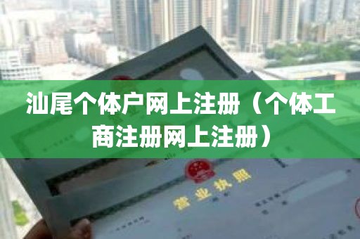 汕尾个体户网上注册（个体工商注册网上注册）