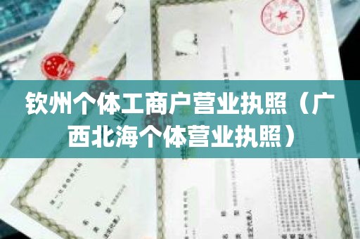 钦州个体工商户营业执照（广西北海个体营业执照）