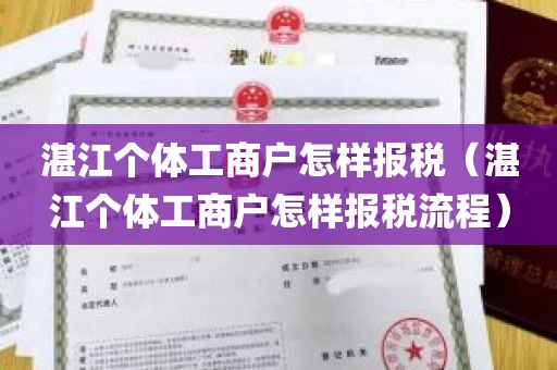 湛江个体工商户怎样报税（湛江个体工商户怎样报税流程）