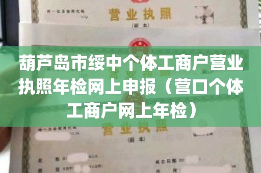 葫芦岛市绥中个体工商户营业执照年检网上申报（营口个体工商户网上年检）