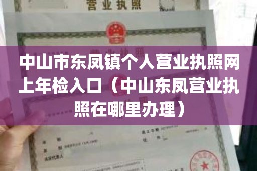 中山市东凤镇个人营业执照网上年检入口（中山东凤营业执照在哪里办理）