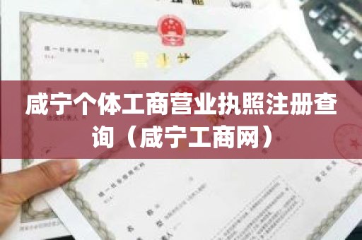 咸宁个体工商营业执照注册查询（咸宁工商网）