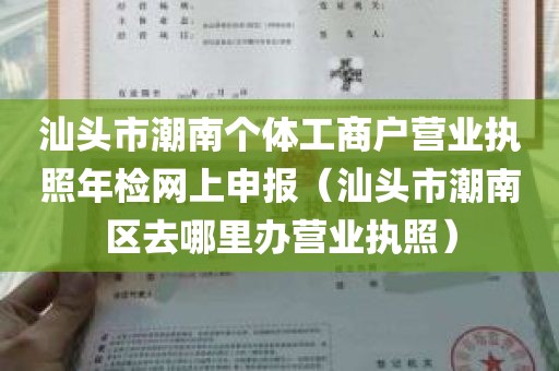 汕头市潮南个体工商户营业执照年检网上申报（汕头市潮南区去哪里办营业执照）