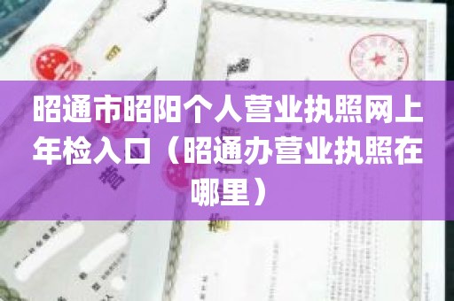 昭通市昭阳个人营业执照网上年检入口（昭通办营业执照在哪里）