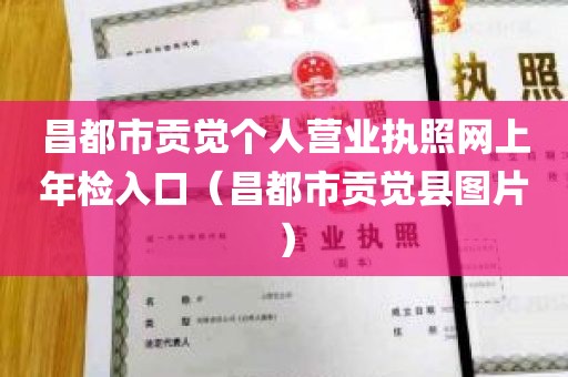 昌都市贡觉个人营业执照网上年检入口（昌都市贡觉县图片）