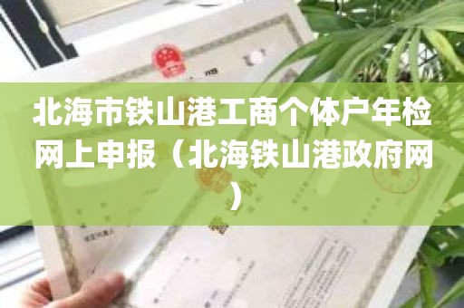 北海市铁山港工商个体户年检网上申报（北海铁山港政府网）