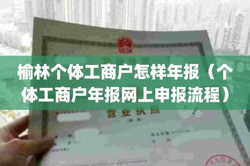 榆林个体工商户怎样年报（个体工商户年报网上申报流程）