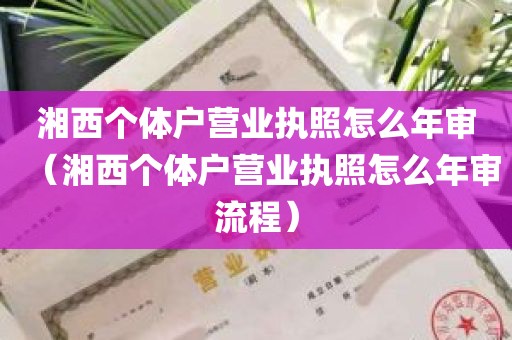 湘西个体户营业执照怎么年审（湘西个体户营业执照怎么年审流程）