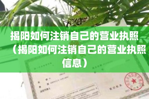 揭阳如何注销自己的营业执照（揭阳如何注销自己的营业执照信息）