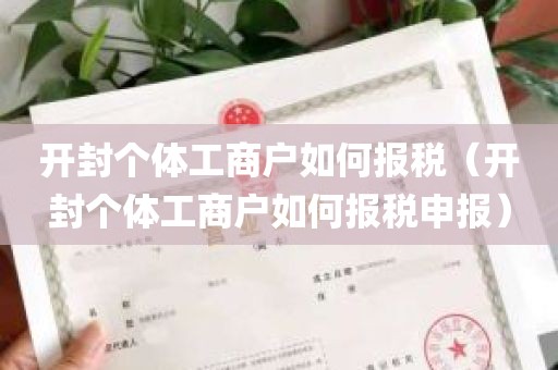 开封个体工商户如何报税（开封个体工商户如何报税申报）