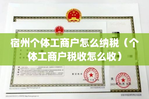 宿州个体工商户怎么纳税（个体工商户税收怎么收）