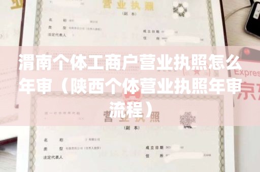 渭南个体工商户营业执照怎么年审（陕西个体营业执照年审流程）