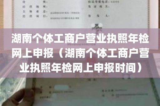 湖南个体工商户营业执照年检网上申报（湖南个体工商户营业执照年检网上申报时间）