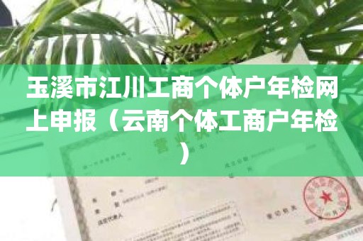 玉溪市江川工商个体户年检网上申报（云南个体工商户年检）