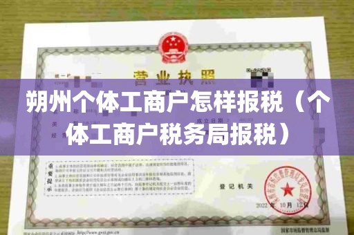 朔州个体工商户怎样报税（个体工商户税务局报税）