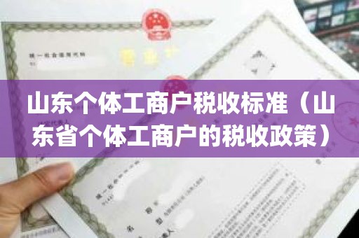 山东个体工商户税收标准（山东省个体工商户的税收政策）