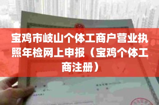 宝鸡市岐山个体工商户营业执照年检网上申报（宝鸡个体工商注册）