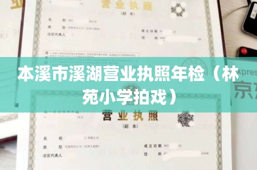 本溪市溪湖营业执照年检（林苑小学拍戏）