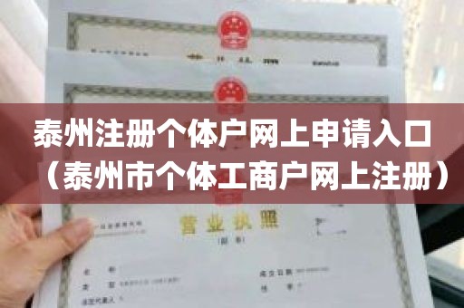 泰州注册个体户网上申请入口（泰州市个体工商户网上注册）