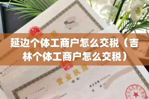 延边个体工商户怎么交税（吉林个体工商户怎么交税）