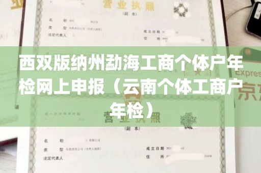 西双版纳州勐海工商个体户年检网上申报（云南个体工商户年检）