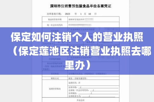 保定如何注销个人的营业执照（保定莲池区注销营业执照去哪里办）