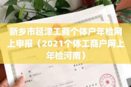 新乡市延津工商个体户年检网上申报（2021个体工商户网上年检河南）