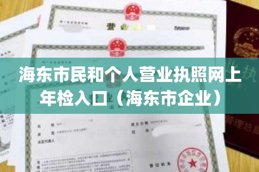 海东市民和个人营业执照网上年检入口（海东市企业）